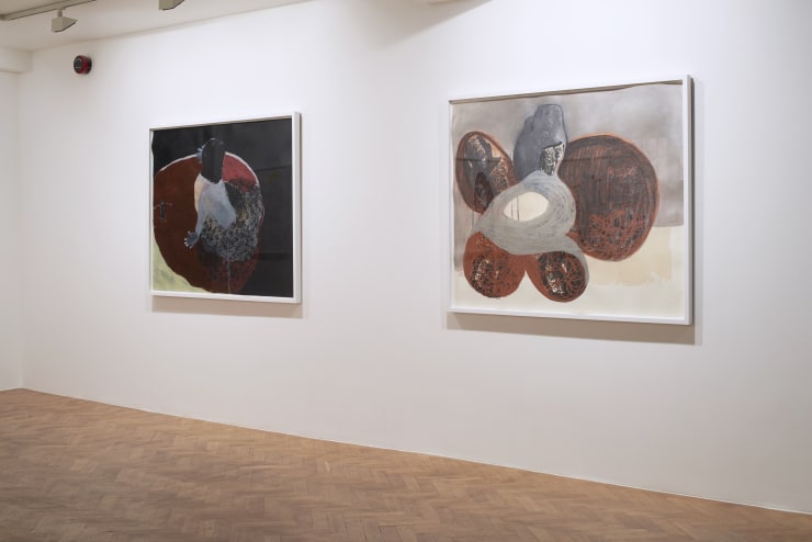 Virginia Chihota A Thorn in my Flesh (munzwa munyama yangu)