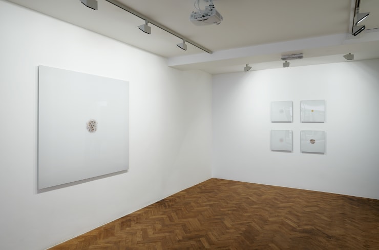 Younès Rahmoun Darra