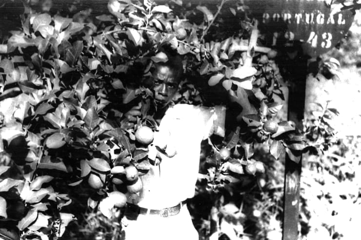 Délio Jasse Caducado