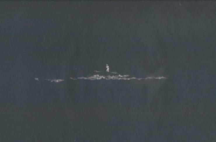 Luc Tuymans, Surrender (detail), 2017. Animated video, 23 seconds (loop), color, silent, overall dimensions variable. Courtesy Studio Luc Tuymans.