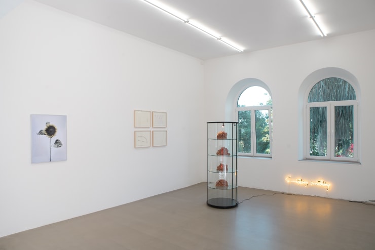Viltė Bražiūnaitė & Tomas Sinkevičius and Gabrielė Adomaitytė at the Swallow Contemporary Art Space Opening