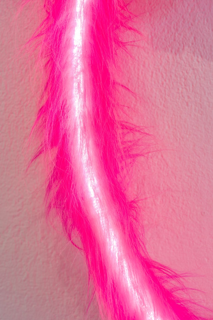 Bony by Justina Stipinaitė at Galerija VARTAI Photo: Jonas Balsevičius
