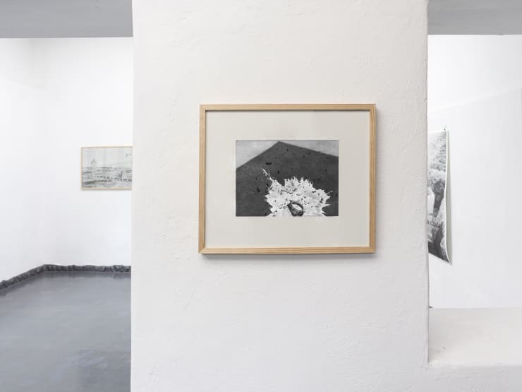 Espíritu de las Casas, solo show de Nicolás Janowski & Freddy Mamani (VIGIL GONZALES, 2021)