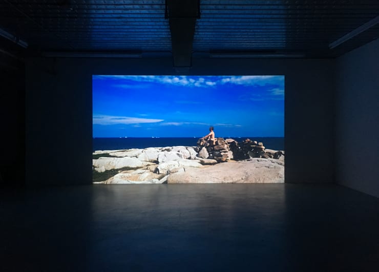 Marcus Coates The Last of Its Kind, 2018 (Installation view) 9th February - 14th April, 2018 Workplace London
