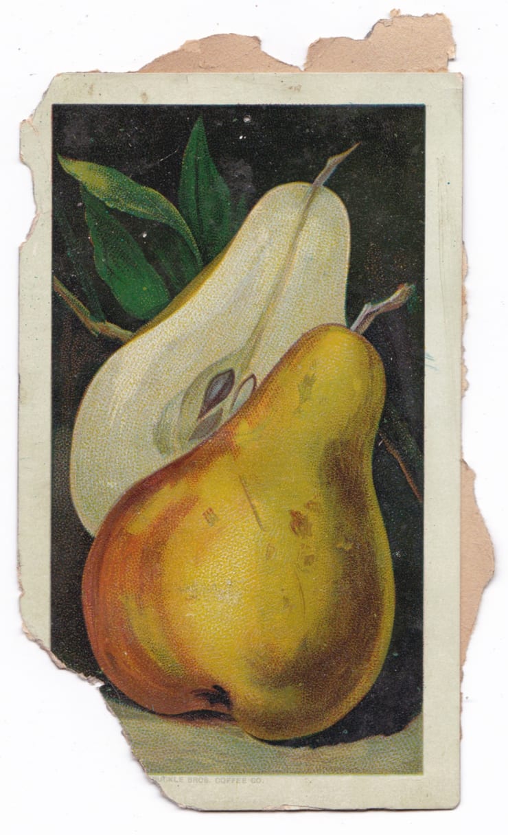 Studio ephemera, torn card, pears, halved, date unknown