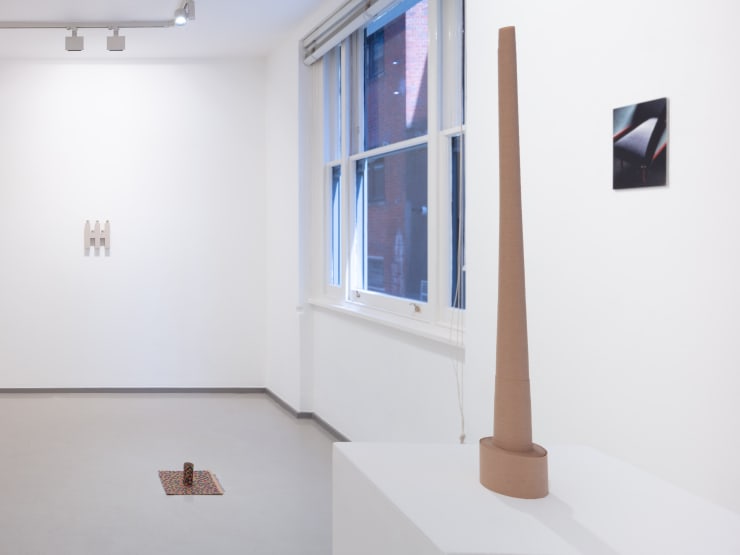 Courtesy the artist and Laure Genillard Gallery, London
