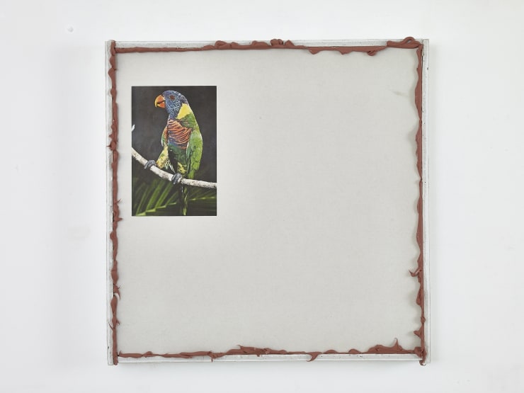 Paul Merrick Untitled (Parrot), 2015