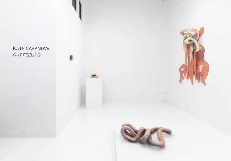 Kate Casanova Gut Feeling Yi Gallery 2022