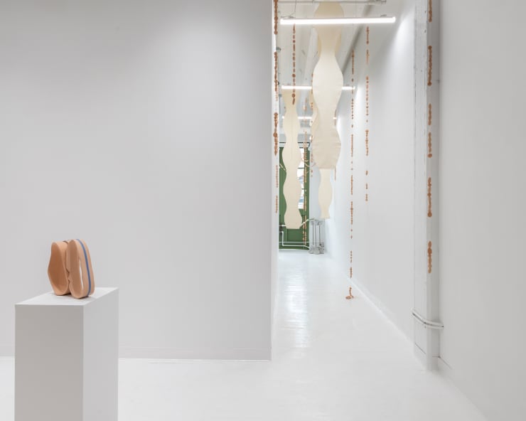 Installation View Paul Mok Mar Ramon Soriano Yi Gallery Front Gallery Corridor 5X4