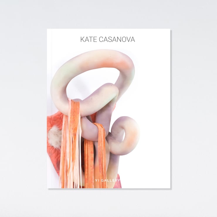 Kate Casanova: Gut Feeling, An Essay By Pamela Meadows