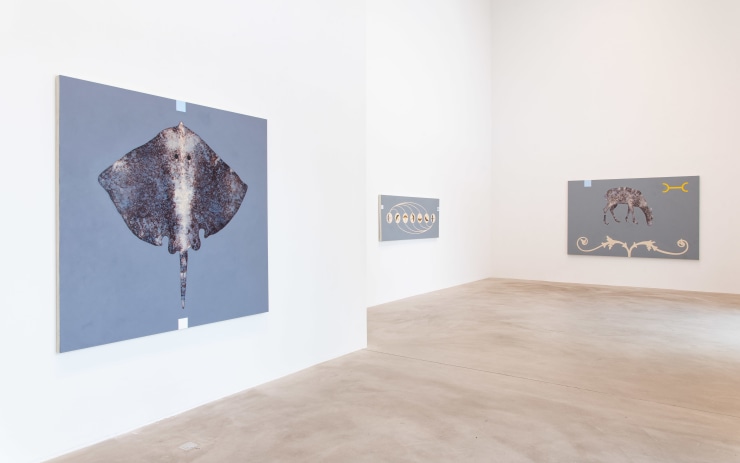 OSMO RAUHALA | FORM OF SILENCES