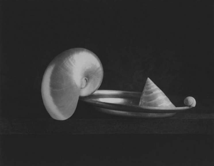 D.W. Mellor - Three Shells I, Pacific Palisades