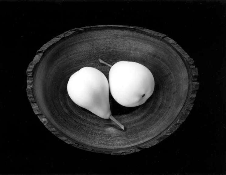 Paul Caponigro - Two Pears, ME