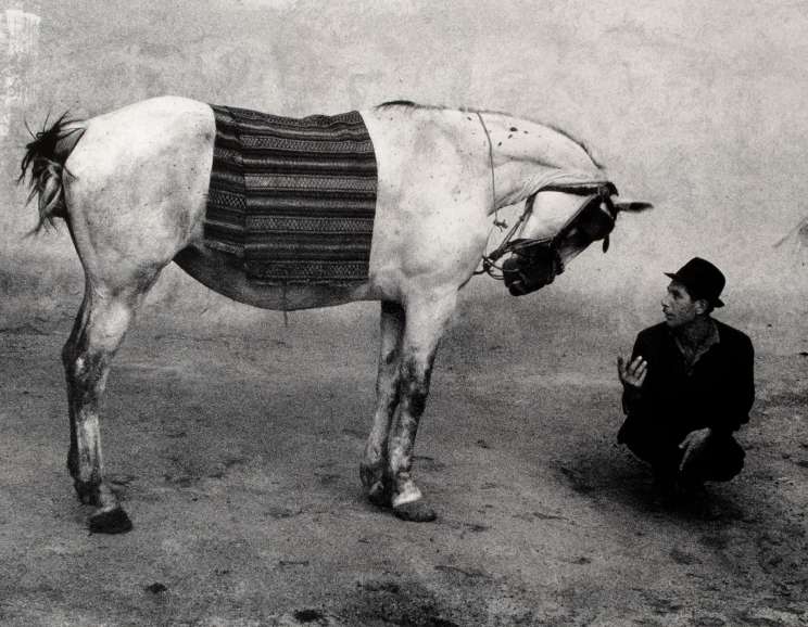 Josef Koudelka - <em>Rumania (gypsy and horse)</em>, 1968