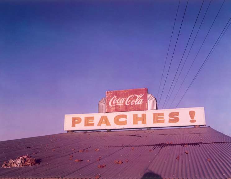 William Eggleston - <em>Freddy's Nightmare</em>
