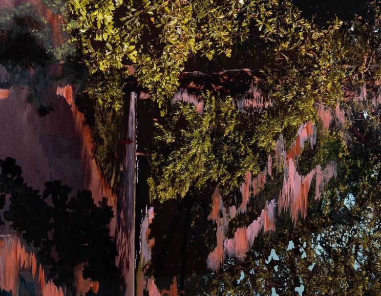 Angela West - <em>Portrait of Snowball Bush</em>, 2003