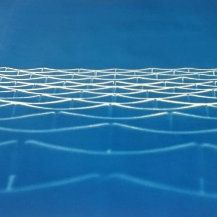 Cyanotype