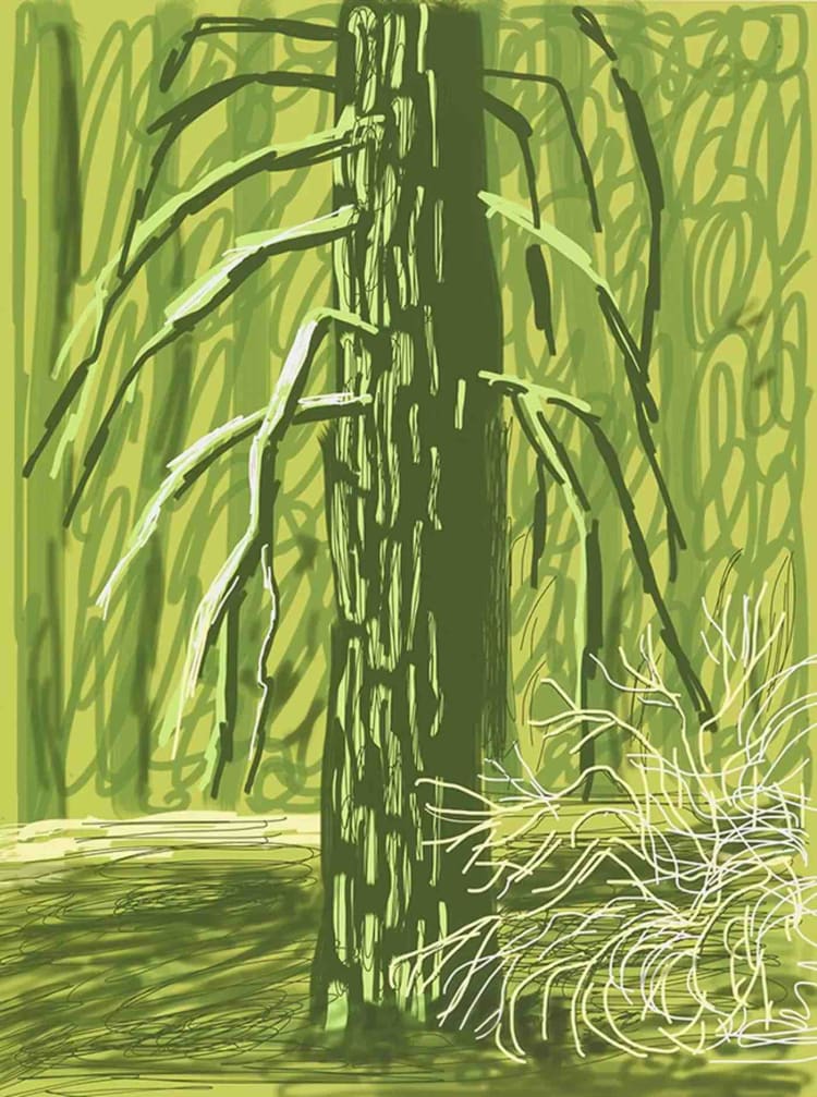 Buy or sell David Hockney, Yosemite No. 18, 2010, iPad drawing