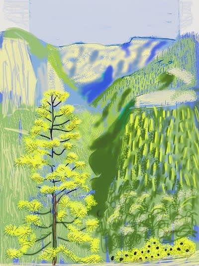 Buy or sell David Hockney, Yosemite No. 20, 2010, iPad drawing