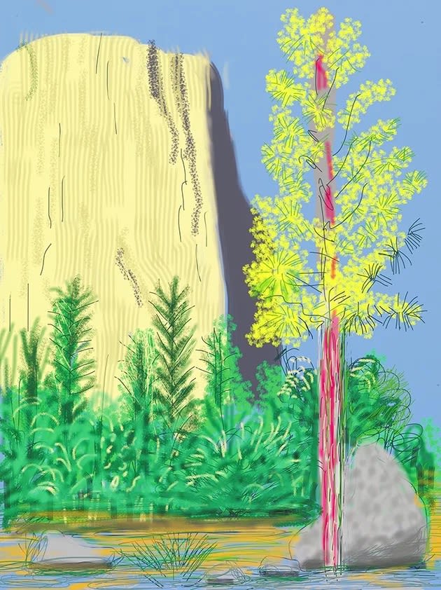 Buy or sell David Hockney, Yosemite No. 22, 2010, iPad drawing