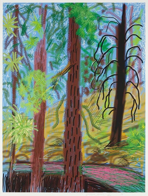 Buy or sell David Hockney, Yosemite No. 6, 2010, iPad drawing