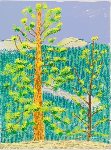 Buy or sell David Hockney, Yosemite No. 8, 2010, iPad drawing
