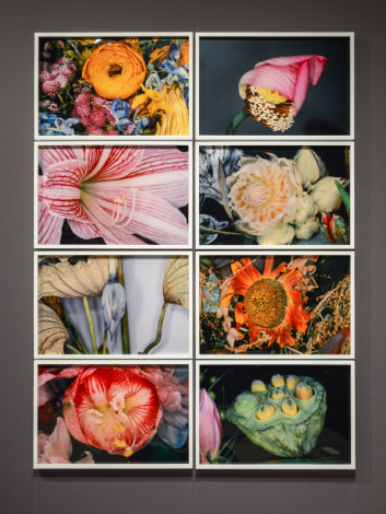 Ten Things to See at Masterpiece