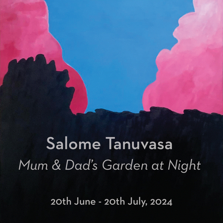 Mum & Dad's Garden at Night by Salome Tanuvasa