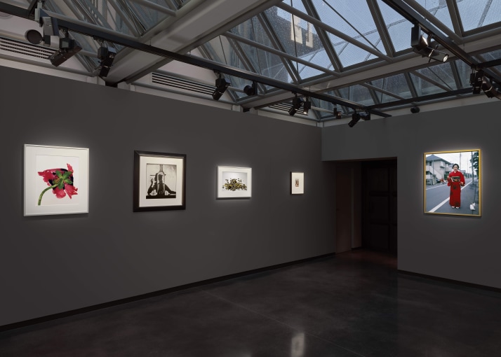 <p>© Hamiltons Gallery, the art works depicted in the photographs remain the rights of the artists and are used courtesy of the artists and gallery. </p><p>Photography: Prudence Cuming</p><div> </div>
