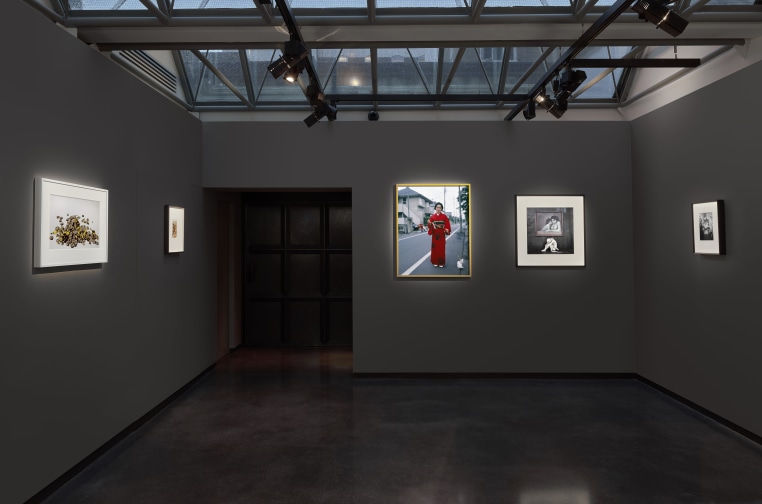 <p>© Hamiltons Gallery, the art works depicted in the photographs remain the rights of the artists and are used courtesy of the artists and gallery. </p><p>Photography: Prudence Cuming</p><p><b> </b></p>