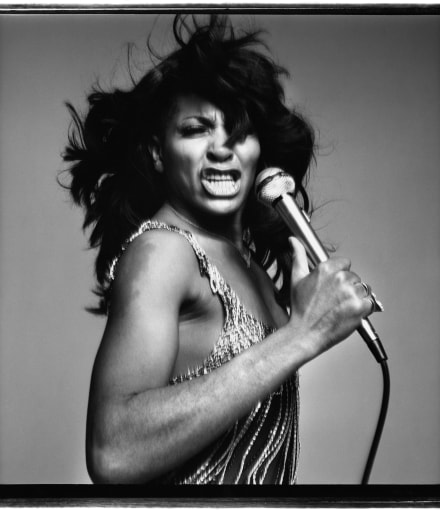 <span class="artist"><strong>Richard Avedon</strong></span>, <span class="title"><em>Tina Turner, performer, dress by Azzaro, New York</em>, June 13, 1971</span>