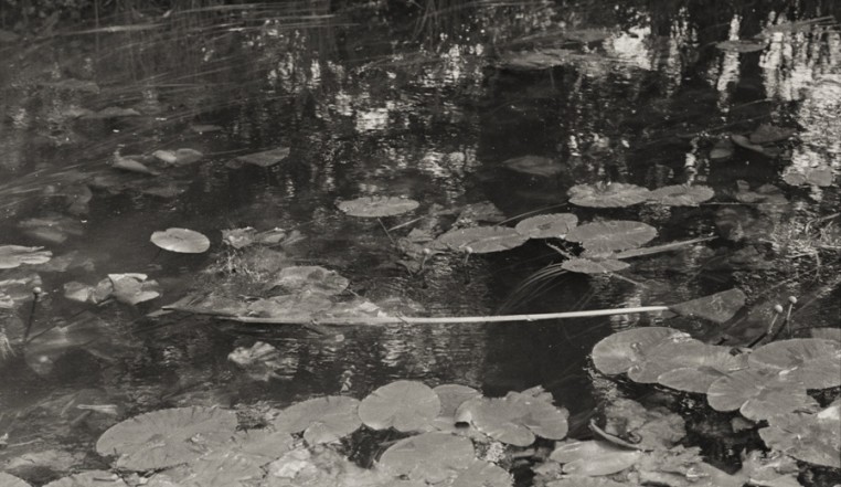 Tomio Seike - Waterscapes | Hamiltons