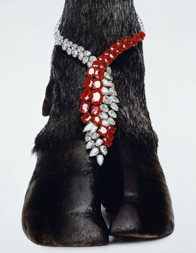 <span class="title">Harry Winston Necklace, New York<span class="title_comma">, </span></span><span class="year">1963</span>