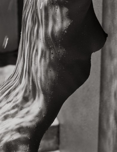<span class="title">Female Torso (Detail), Hollywoo<span class="title_comma">, </span></span><span class="year">1989</span>