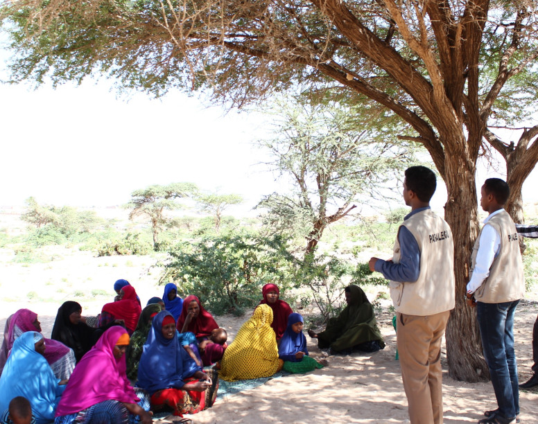 Somaliland Paralegal Project