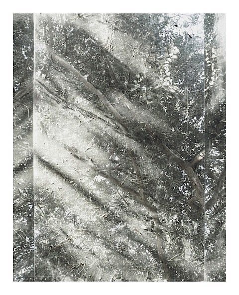 Untitled (Sheats-Goldstein House #07)