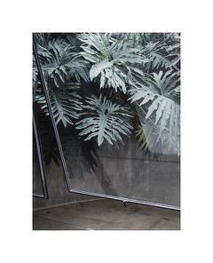Untitled (Casa Fernando Millan, #02)