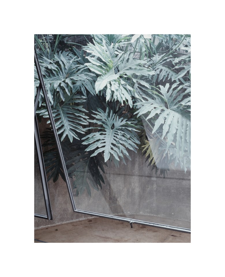 Untitled (Casa Fernando Millan, #03)