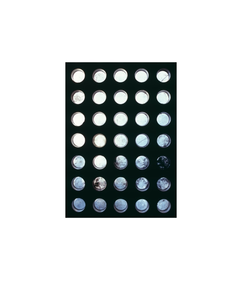 Untitled (Atelier des Frères Martel, #02)