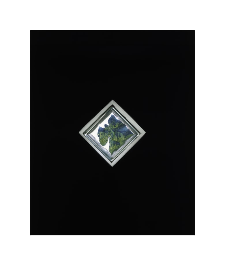 Untitled (Parco dei Principi, #01)