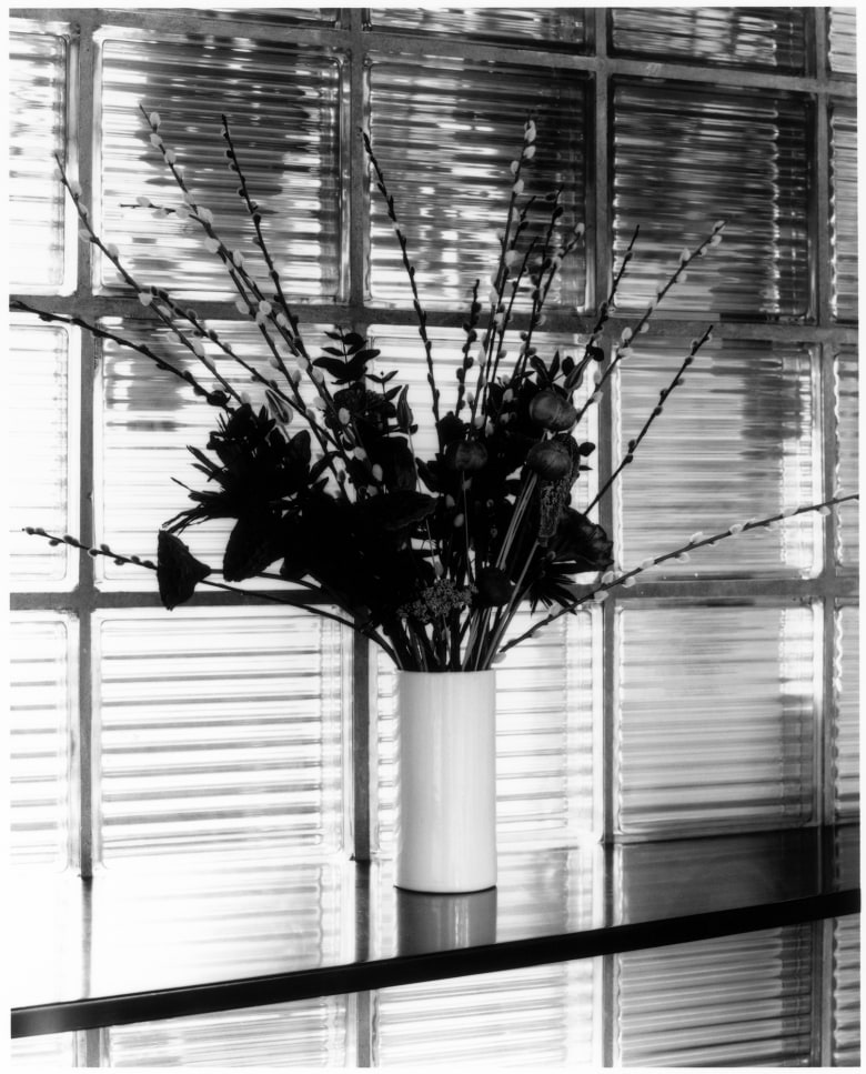 Untitled (Gropius House, #10)