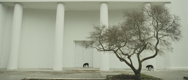 Giardini
