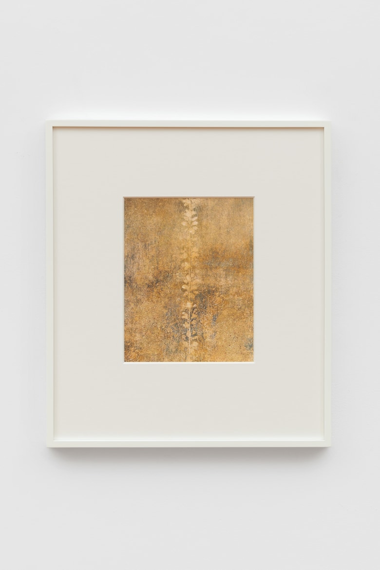 Untitled (Casa del Menandro, #01)