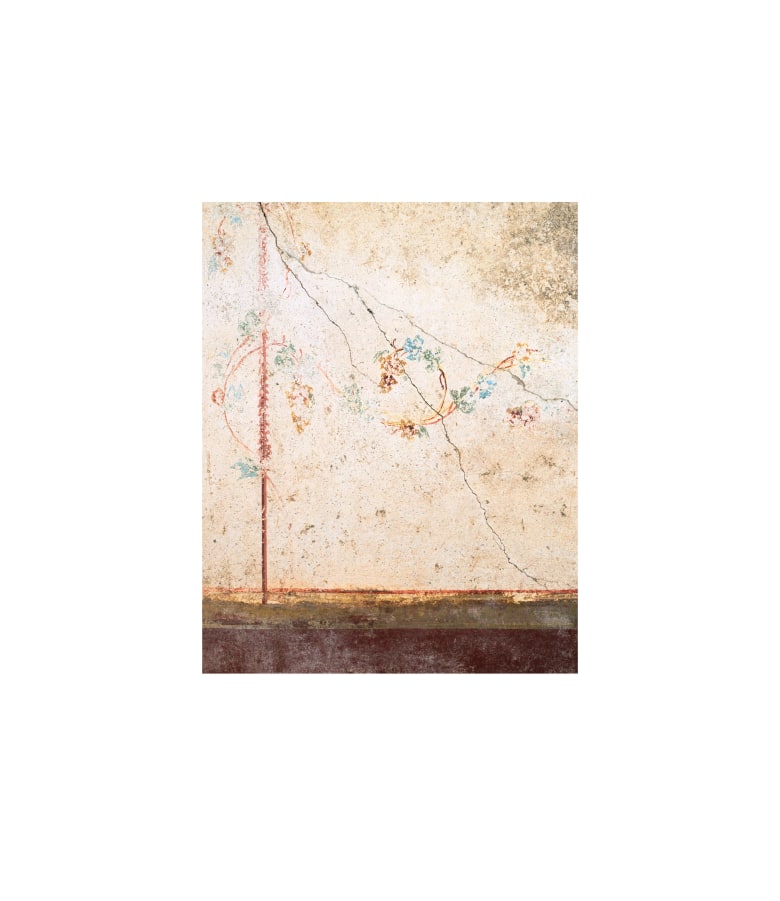 Untitled (Casa di Leda e il Cigno, #01)