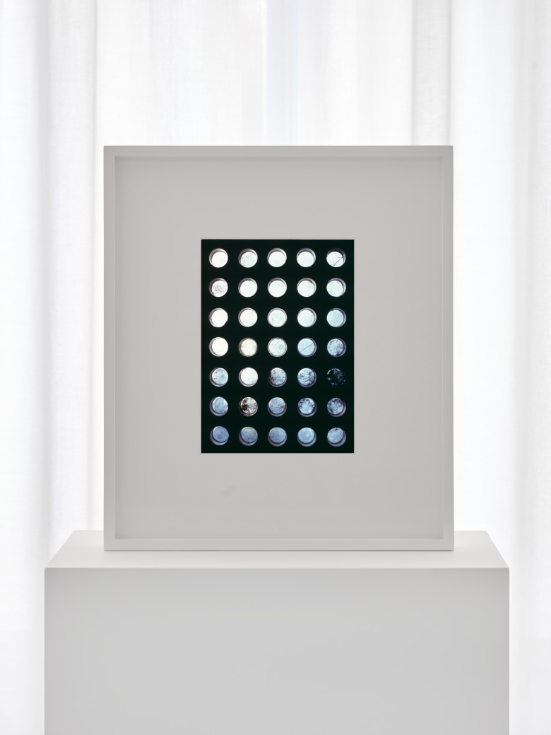 Untitled (Atelier des Frères Martel, #02)