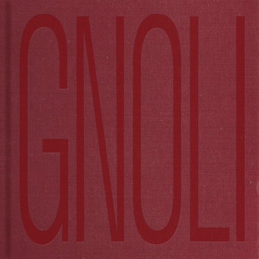 Domenico Gnoli: Detail of a Detail 