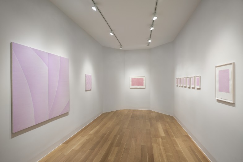 Installation view of Irma Blank: Painting Betweent the Lines.  Photo: Andy Romer.