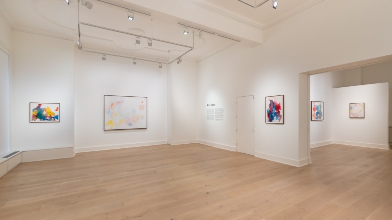 Installation view Alice Baber, Luxembourg + Co. Photo: Damian Griffiths.