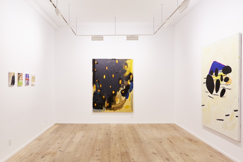 Bruno Dunley | The Mirror | Galeria Nara Roesler | New York -- vista da exposição -- foto Will Wang © courtesy of the artist and Galeria Nara Roesler