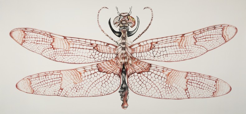 rodolpho parigi libélulis myraxcium, 2015